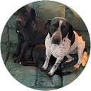 Bradley McKenzie profile picture