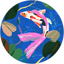 Judy Franklin profile picture