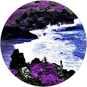 Mary Radcliffe profile picture