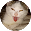 Samantha Jo profile picture