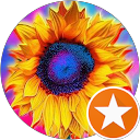 Kimberly Gray profile picture