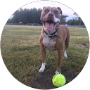 Denny Descheneau profile picture